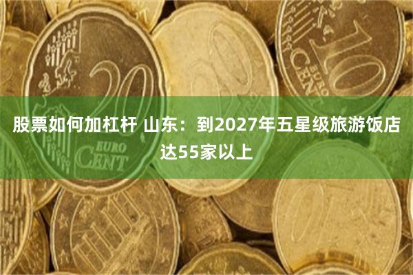 股票如何加杠杆 山东：到2027年五星级旅游饭店达55家以上