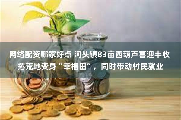网络配资哪家好点 河头镇83亩西葫芦喜迎丰收 撂荒地变身“幸福田”，同时带动村民就业