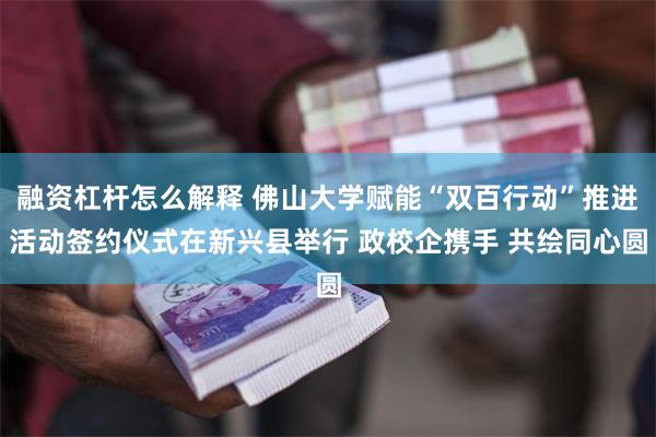 融资杠杆怎么解释 佛山大学赋能“双百行动”推进活动签约仪式在新兴县举行 政校企携手 共绘同心圆