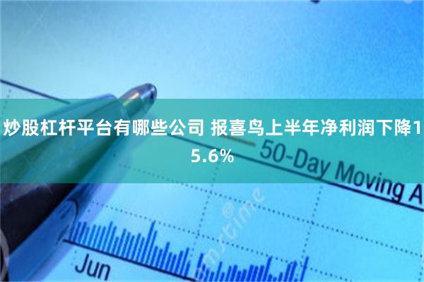 炒股杠杆平台有哪些公司 报喜鸟上半年净利润下降15.6%