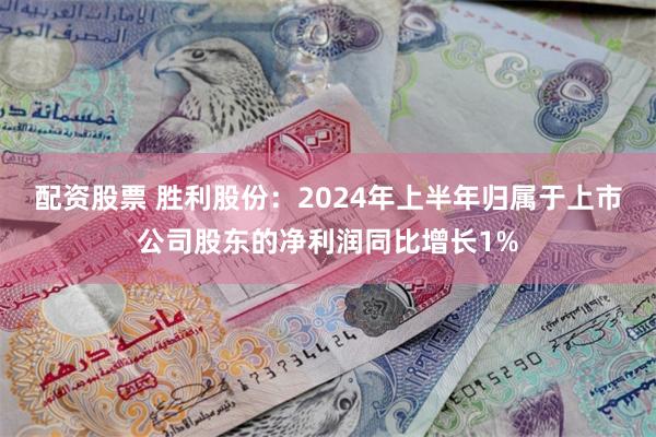 配资股票 胜利股份：2024年上半年归属于上市公司股东的净利润同比增长1%