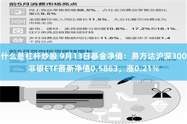 什么是杠杆炒股 9月13日基金净值:易方达沪深300非银ETF最新净值0.5863,涨0.21%