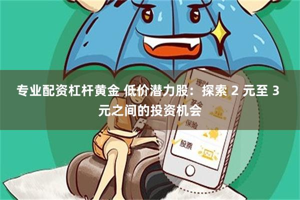 专业配资杠杆黄金 低价潜力股：探索 2 元至 3 元之间的投资机会
