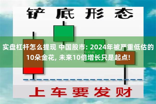 实盘杠杆怎么提现 中国股市: 2024年被严重低估的10朵金花, 未来10倍增长只是起点!