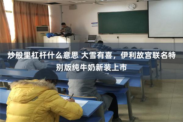 炒股里杠杆什么意思 大雪有喜，伊利故宫联名特别版纯牛奶新装上市