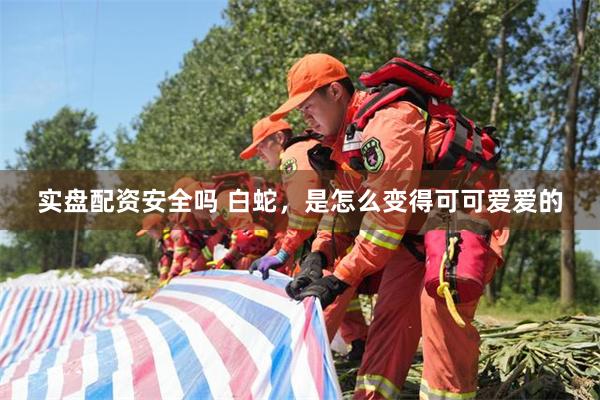 实盘配资安全吗 白蛇，是怎么变得可可爱爱的