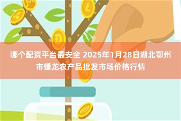 哪个配资平台最安全 2025年1月28日湖北鄂州市蟠龙农产品批发市场价格行情