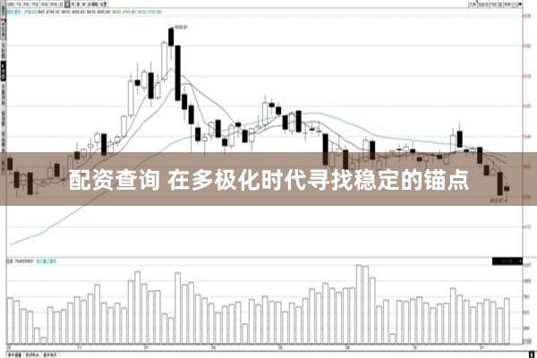 配资查询 在多极化时代寻找稳定的锚点