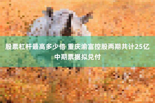 股票杠杆最高多少倍 重庆渝富控股两期共计25亿中期票据拟兑付
