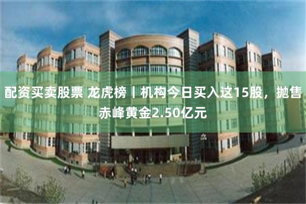 配资买卖股票 龙虎榜丨机构今日买入这15股，抛售赤峰黄金2.50亿元