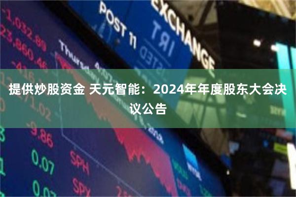 提供炒股资金 天元智能：2024年年度股东大会决议公告