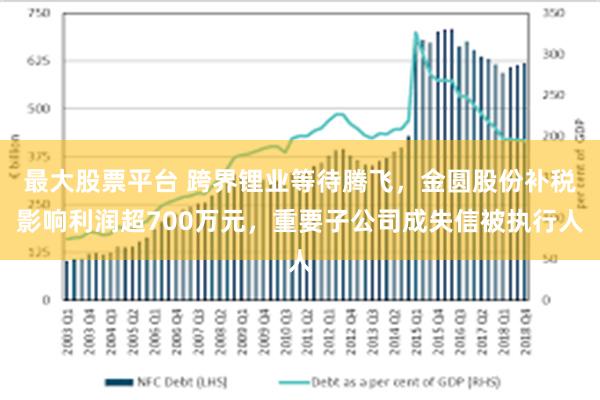 最大股票平台 跨界锂业等待腾飞，金圆股份补税影响利润超700万元，重要子公司成失信被执行人