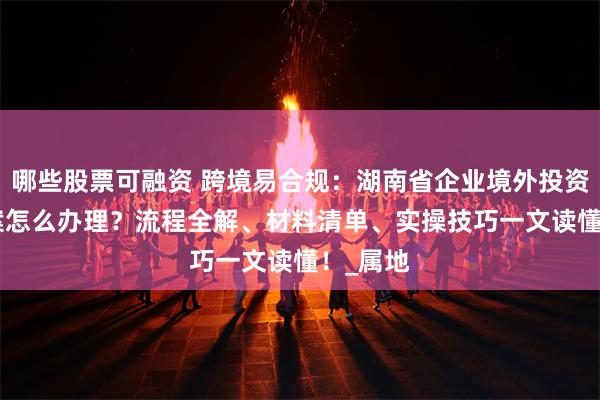 哪些股票可融资 跨境易合规：湖南省企业境外投资ODI备案怎么办理？流程全解、材料清单、实操技巧一文读懂！_属地