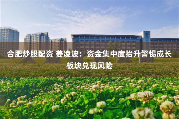 合肥炒股配资 姜凌波：资金集中度抬升警惕成长板块兑现风险