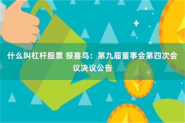 什么叫杠杆股票 报喜鸟：第九届董事会第四次会议决议公告